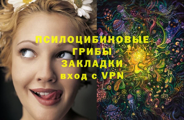 индика Алзамай
