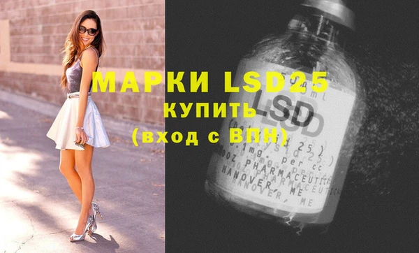индика Алзамай