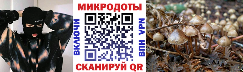 Псилоцибиновые грибы мицелий  Купить где  Карасук 
